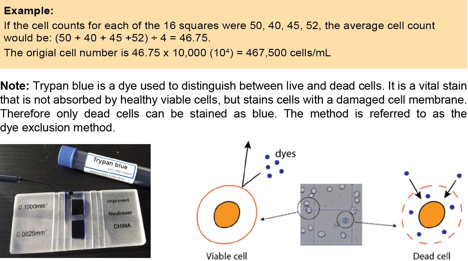 Rs Science App